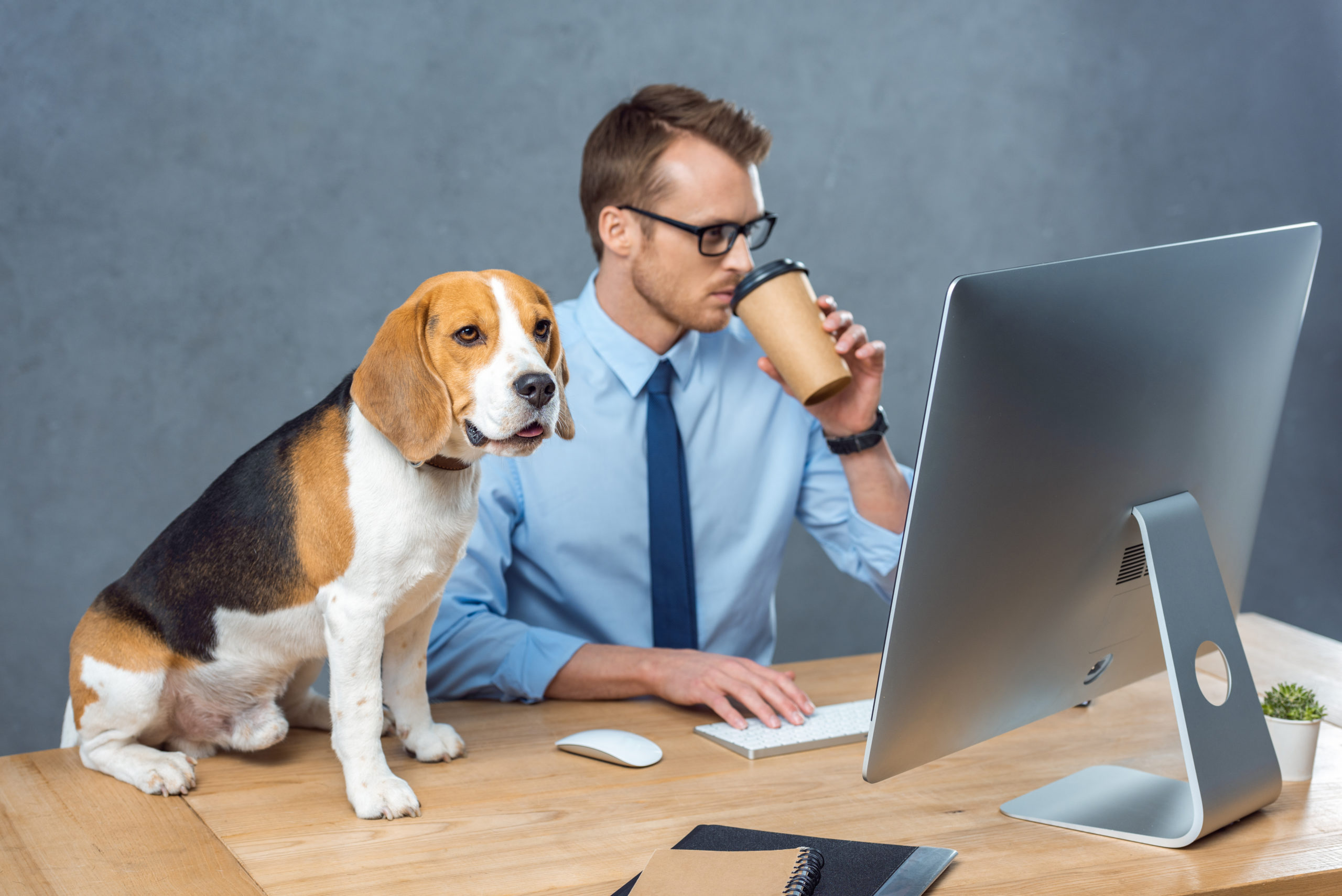 בחור עובשד מול המחשב עם כלב לידו
